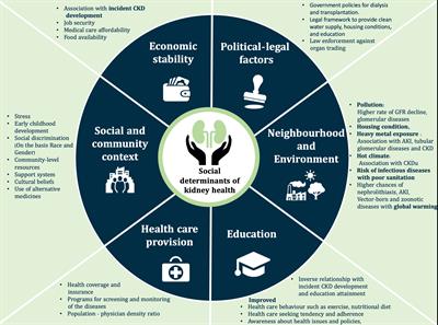 Social, political and legal determinants of kidney health: Perspectives from lower- and middle-income countries with a focus on India